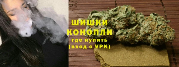 прущие грибы Белая Холуница