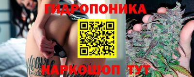 хмурый Будённовск