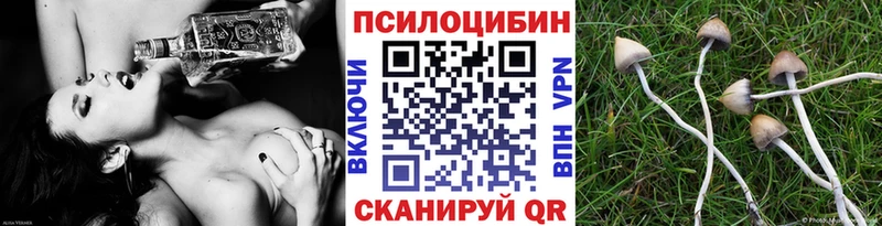 Псилоцибиновые грибы Magic Shrooms Ставрополь