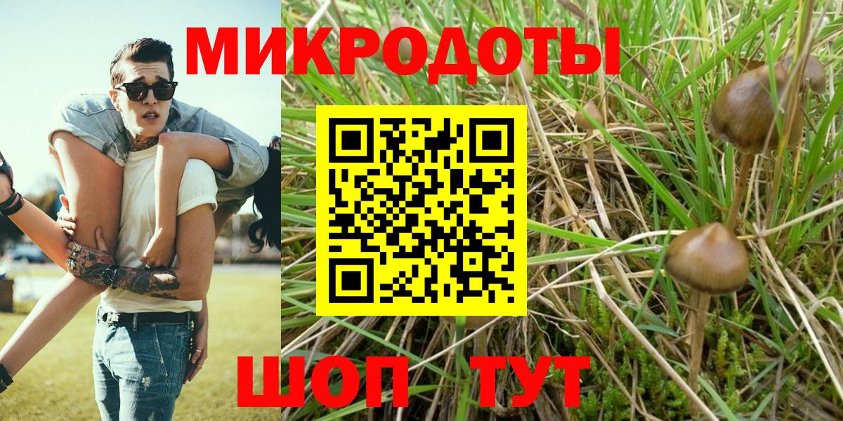 Галлюциногенные грибы мицелий Ставрополь